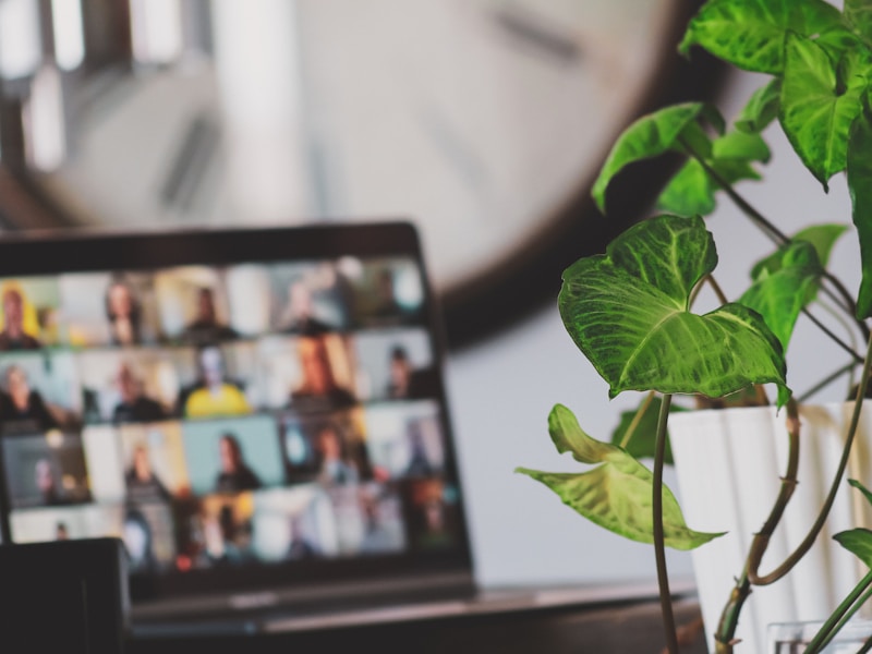 Video call displayed on a laptop beside a plant